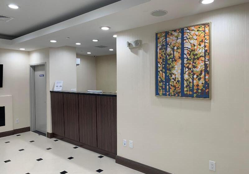 Fotos del hotel Voyage:  5