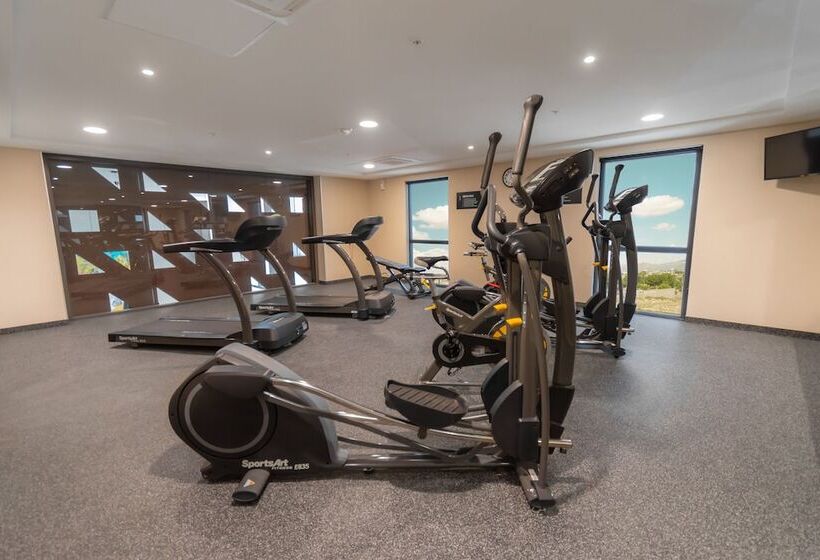 Fotos del hotel City Plus Chihuahua:  9