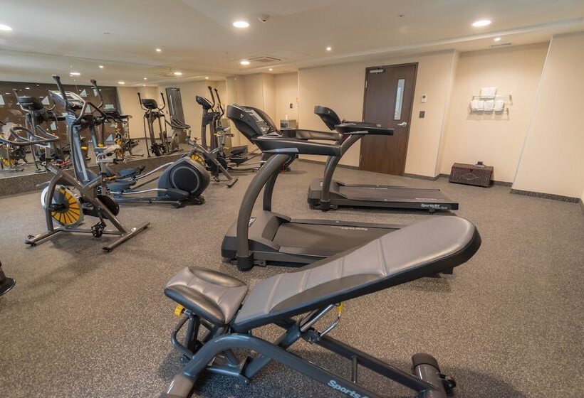 Fotos del hotel City Plus Chihuahua:  8