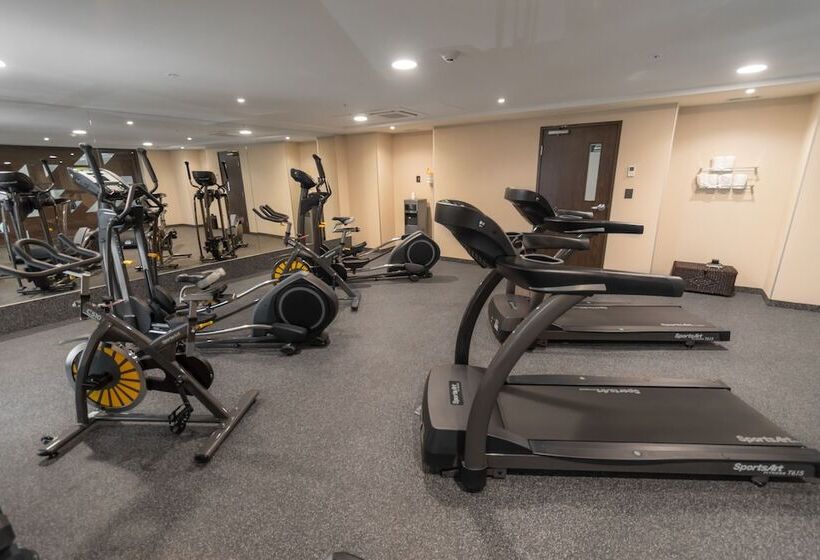 Fotos del hotel City Plus Chihuahua:  7