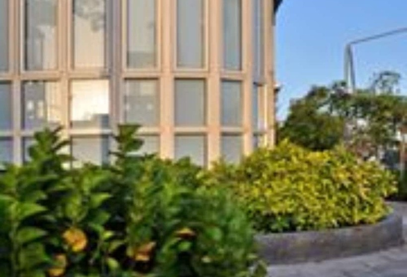 Fotos del hotel Star Shell:  4