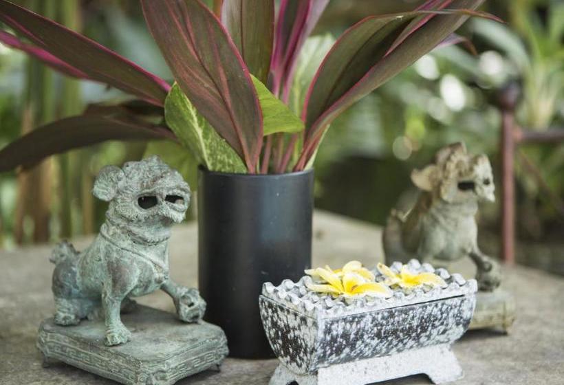 Fotos del hotel Citrus Tree Villas - Layla:  14