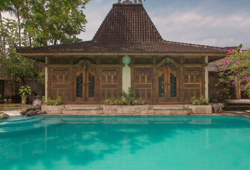 Fotos del hotel Citrus Tree Villas - Layla:  15