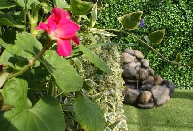 Fotos del hotel Cgh Candelaria Boutique:  21