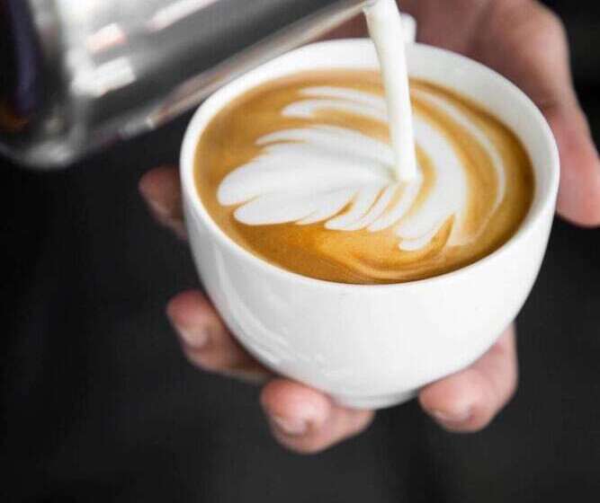 Fotos del hotel E-just Hotel Borg El Arab:  2