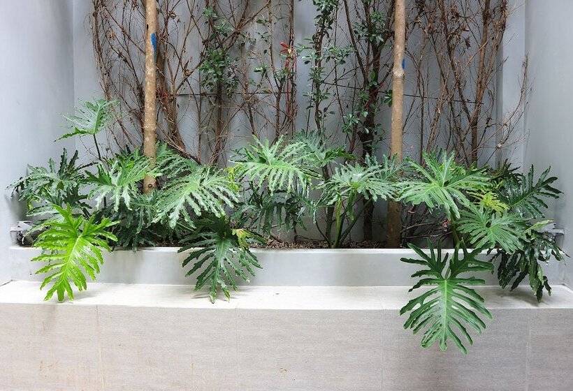 Fotos del hotel Reddoorz Plus @ Le Van Sy Street 2:  22