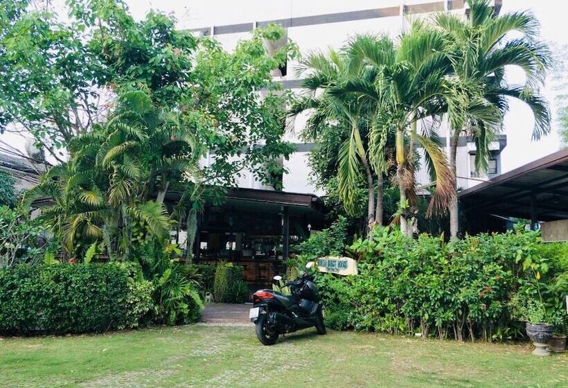 Fotos del hotel Buddy Guesthouse:  4