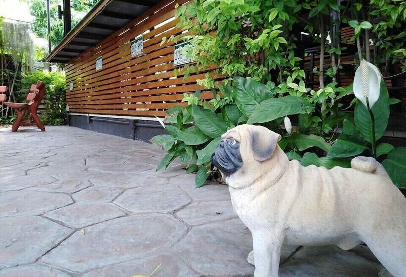 Fotos del hotel Buddy Guesthouse:  5