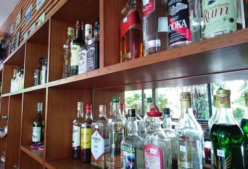 Fotos del hotel Buddy Guesthouse:  2