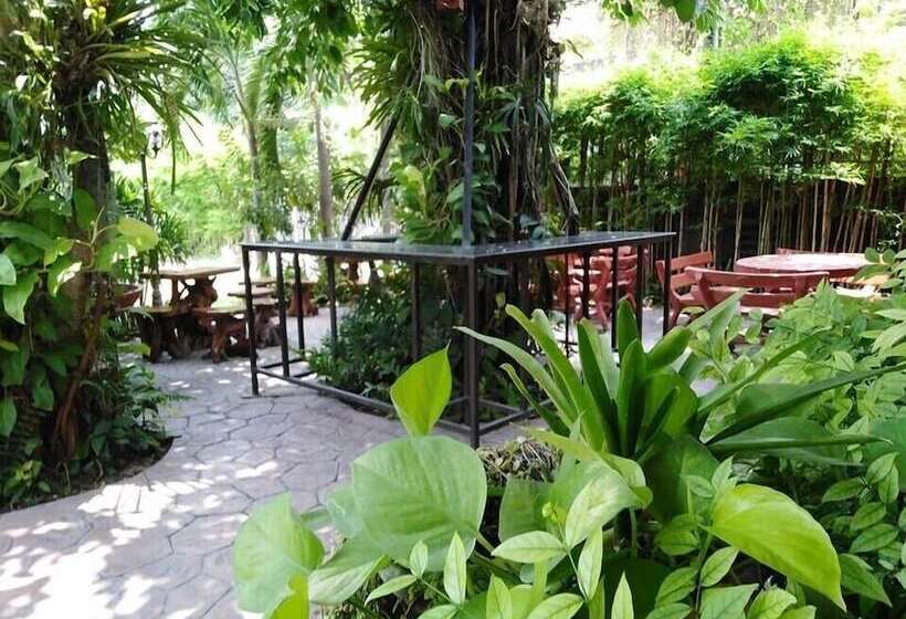 Fotos del hotel Buddy Guesthouse:  11