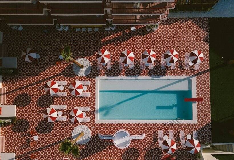 Fotos del hotel Romeos Ibiza - Adults Only:  18