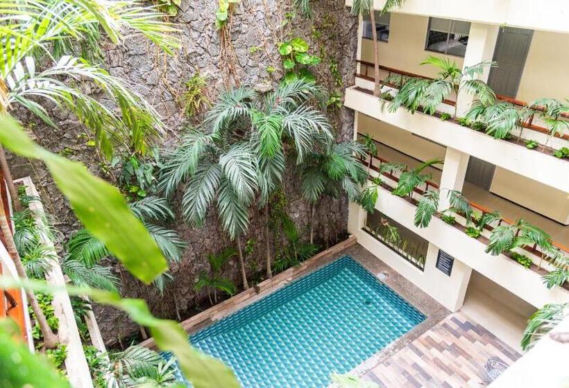 Fotos del hotel Grand  Kyrios Veracruz:  18