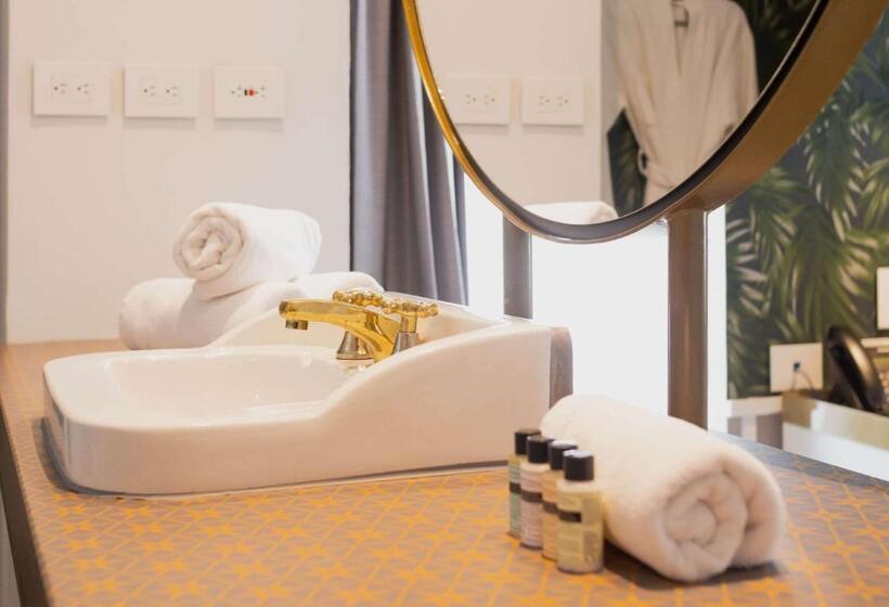 Fotos del hotel Faranda Collection Barranquilla:  4