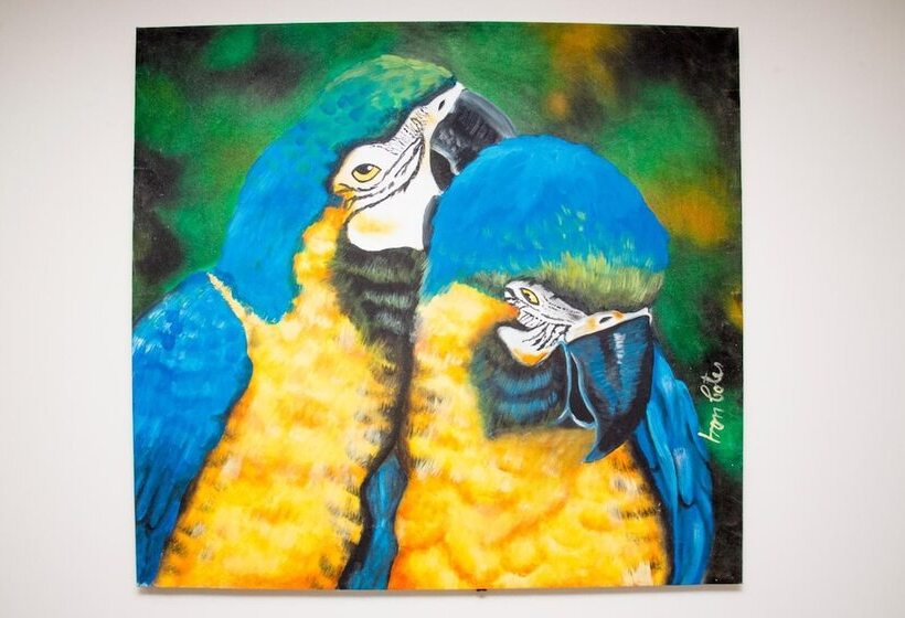 Fotos del hotel Coral By Ayenda Rooms:  21