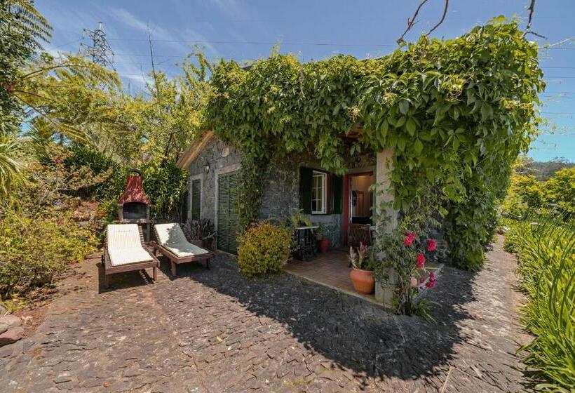 Fotos del hotel Quinta Devónia By An Island Apart:  19