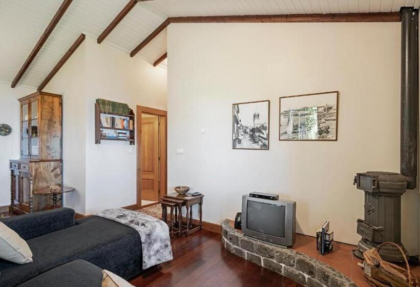 Fotos del hotel Quinta Devónia By An Island Apart:  13