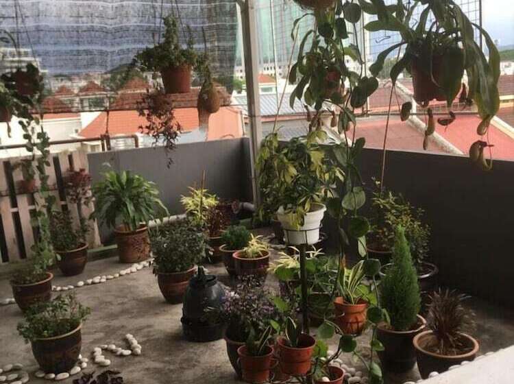 Fotos del hotel Anderson:  12