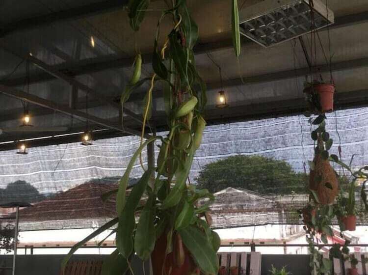 Fotos del hotel Anderson:  23