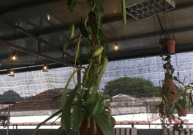 Fotos del hotel Anderson:  18