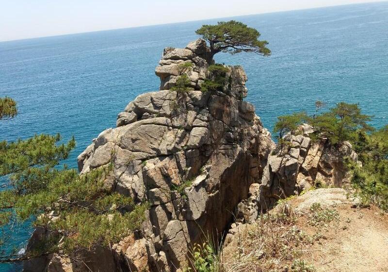 Fotos del hotel Izmir Pension:  3