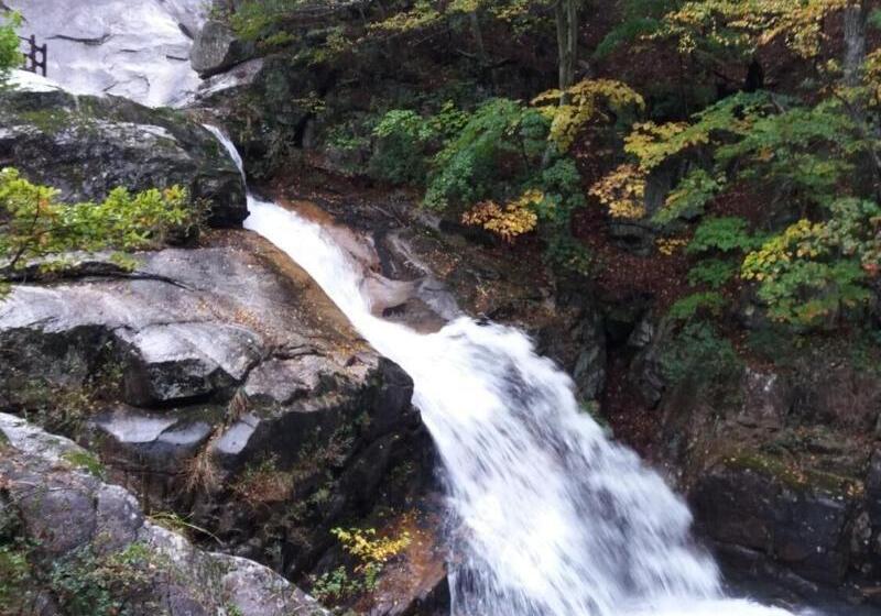 Fotos del hotel Izmir Pension:  5