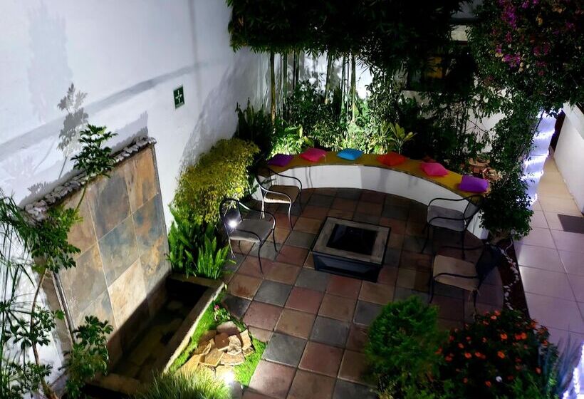 Fotos del hotel Casa Mia:  24