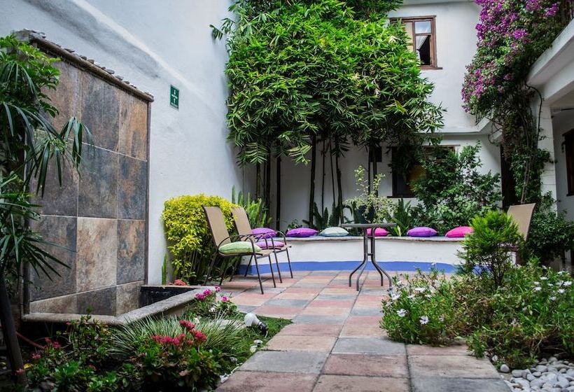 Fotos del hotel Casa Mia:  22