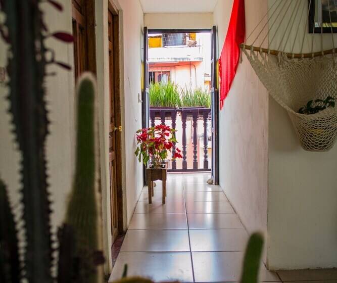 Fotos del hotel Casa Mia:  12