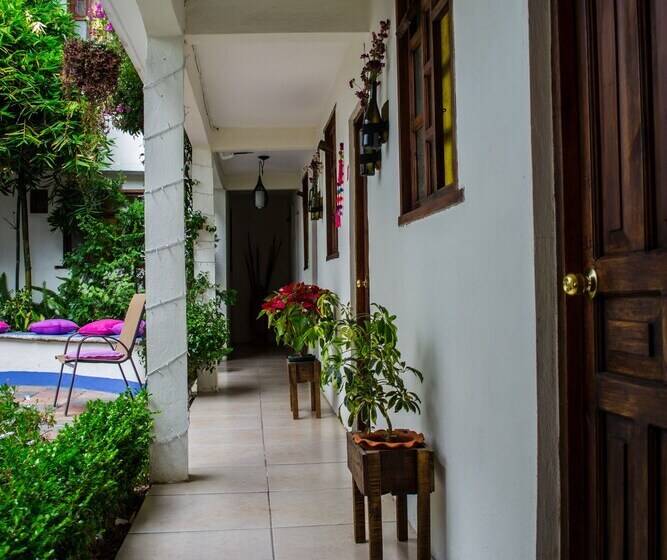 Fotos del hotel Casa Mia:  23