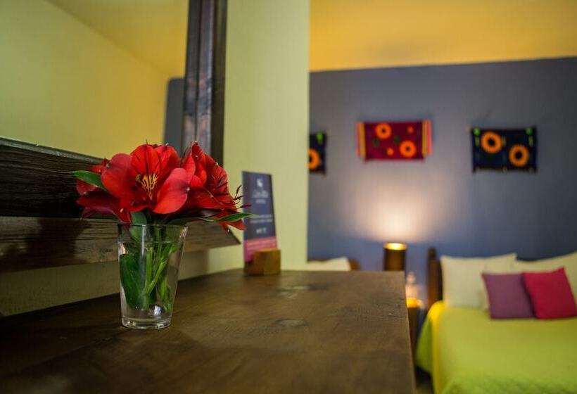 Fotos del hotel Casa Mia:  7