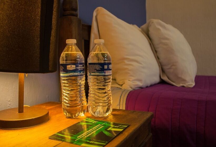 Fotos del hotel Casa Mia:  3