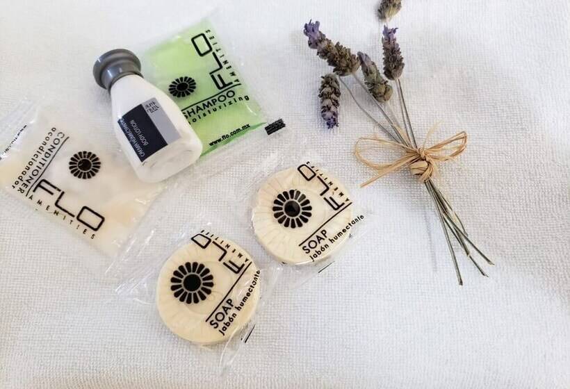 Fotos del hotel Casa Mia:  14