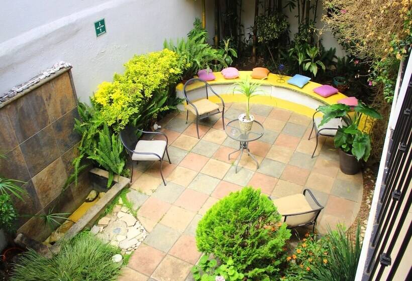 Fotos del hotel Casa Mia:  20