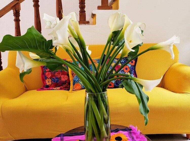 Fotos del hotel Casa Mia:  25