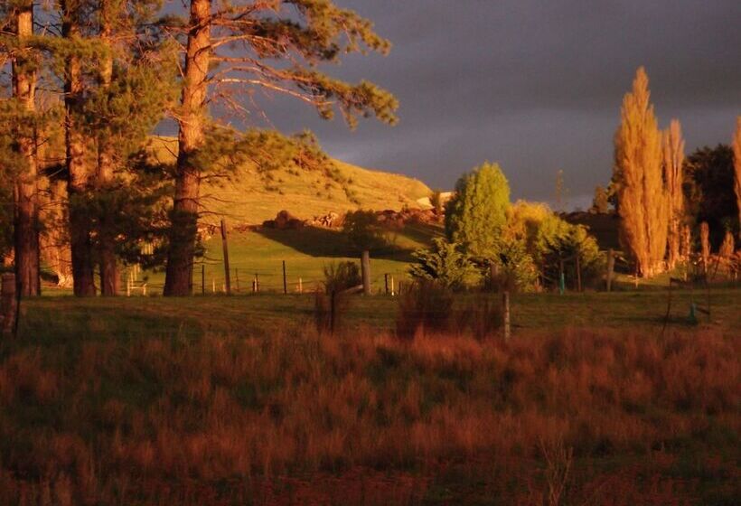 Fotos del hotel Behind The Bike Sheds:  4