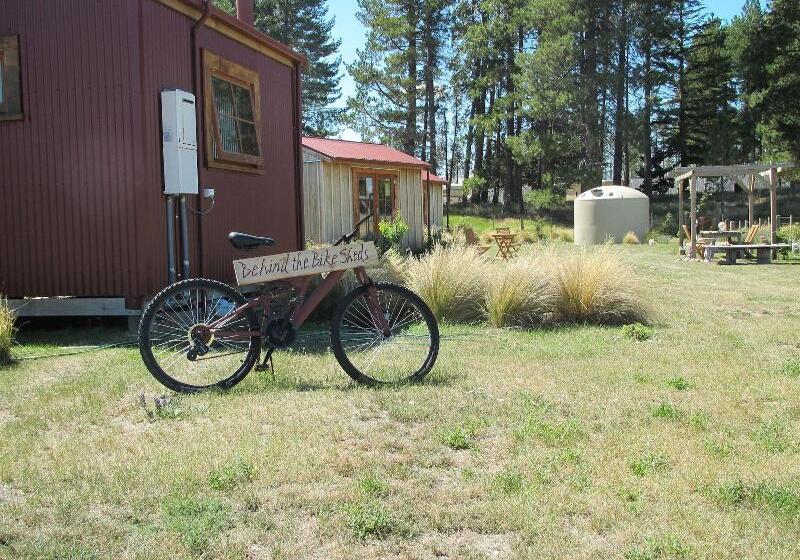Behind The Bike Sheds
