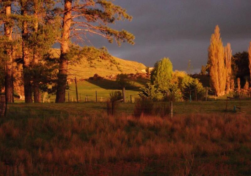 Fotos del hotel Behind The Bike Sheds:  19