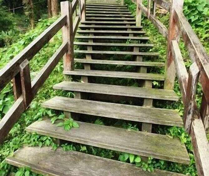 Fotos del hotel Fenchihu Street:  6