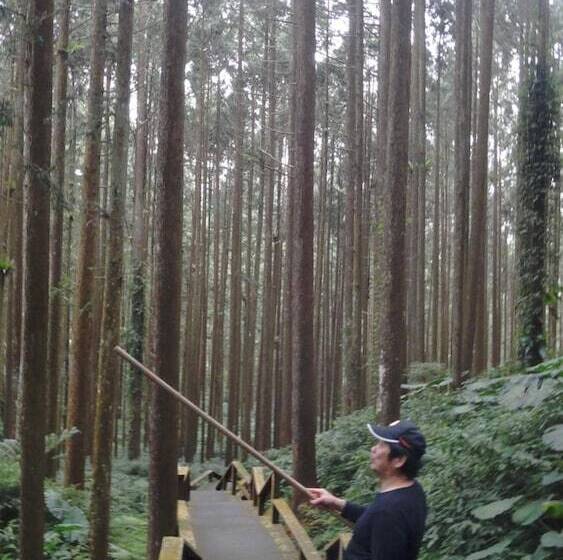 Fotos del hotel Fenchihu Street:  12