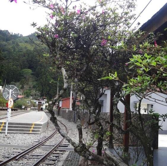 Fotos del hotel Fenchihu Street:  19