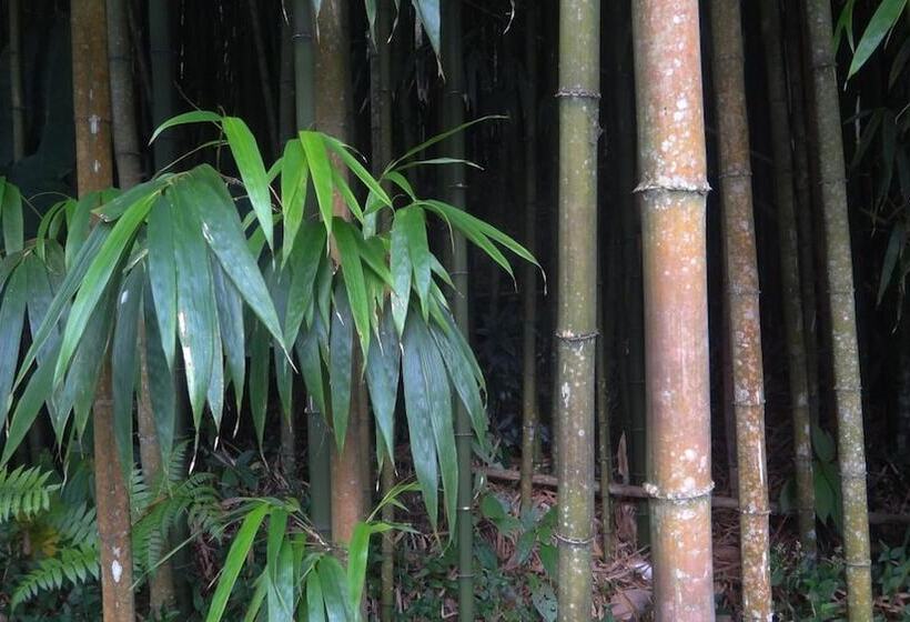 Fotos del hotel Fenchihu Street:  15