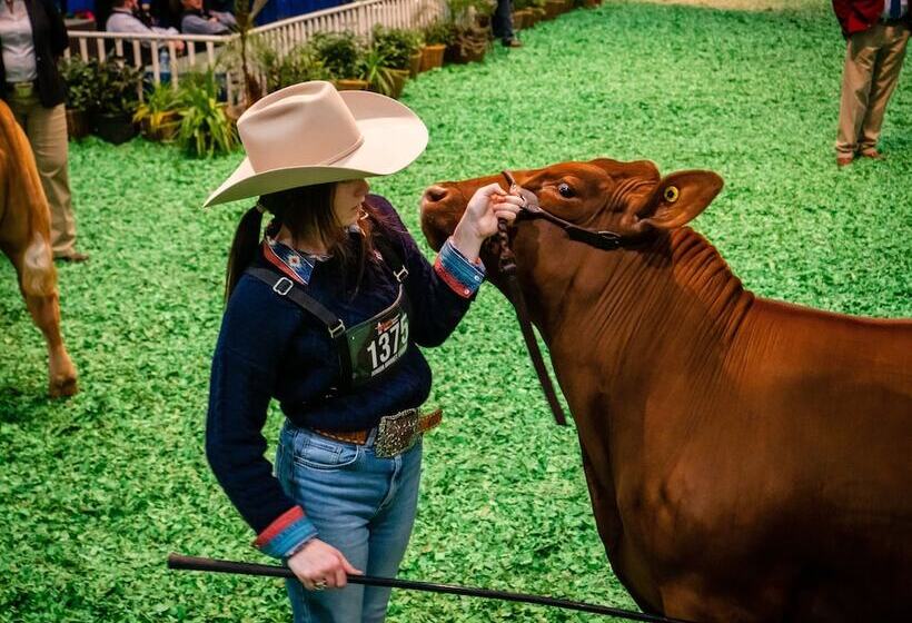 Fotos del hotel Staybridge Stes Galleria Area:  15