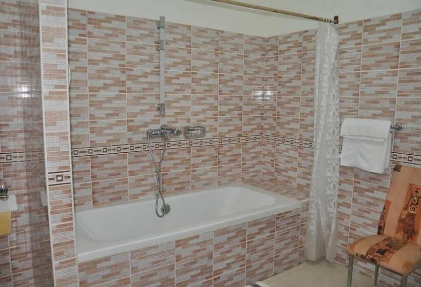 Fotos del hotel Hôtel Cisko Centre:  8