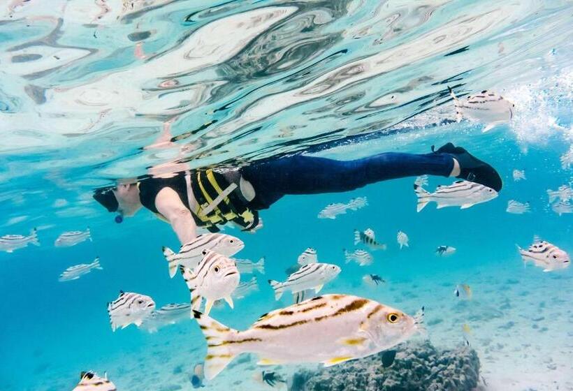 Fotos del hotel Comfort Inn Naha Tomari Port:  15