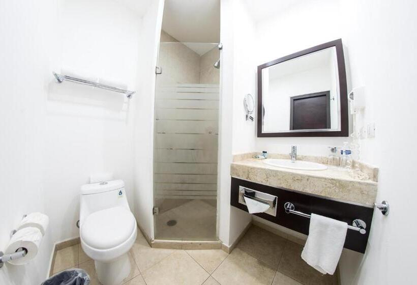 Fotos del hotel Oliba:  13