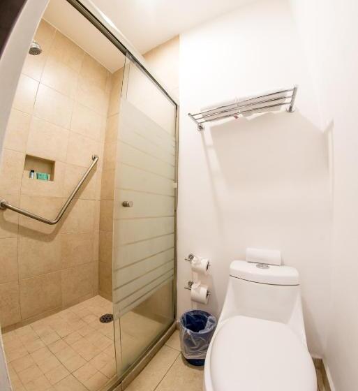 Fotos del hotel Oliba:  14