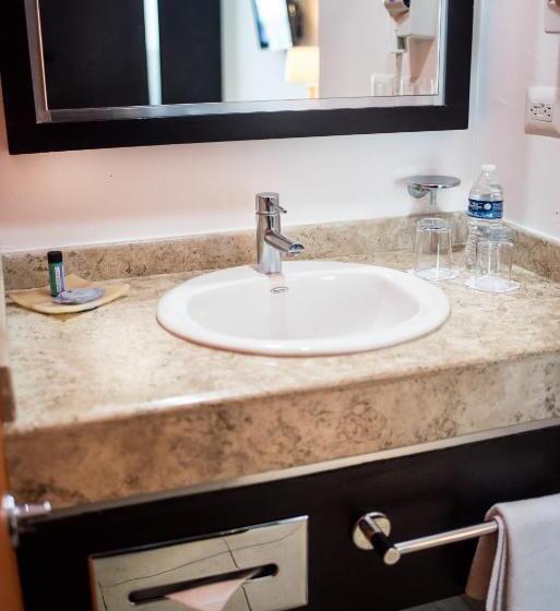 Fotos del hotel Oliba:  18