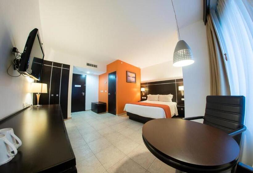 Fotos del hotel Oliba:  19