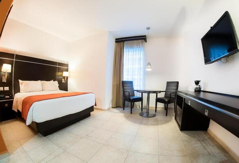 Fotos del hotel Oliba:  20