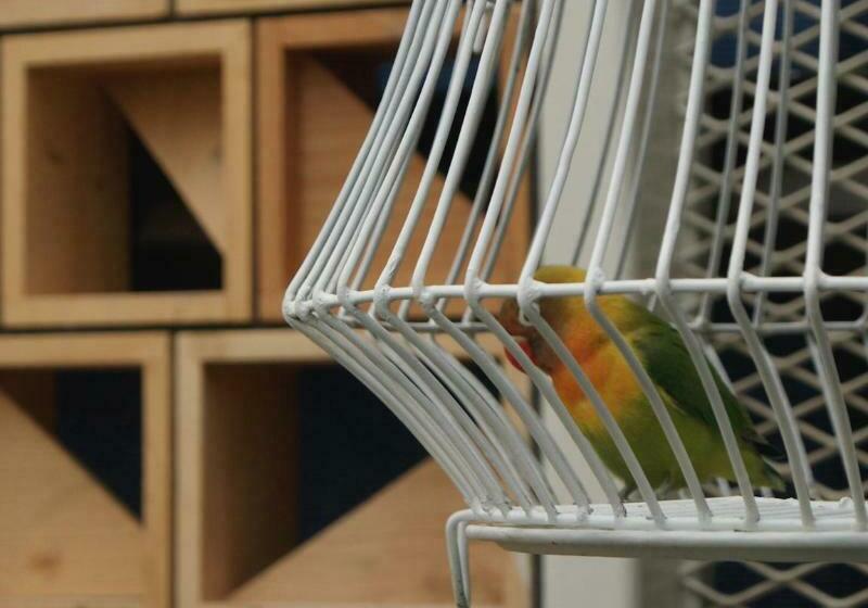 Fotos del hotel Kollektiv:  5